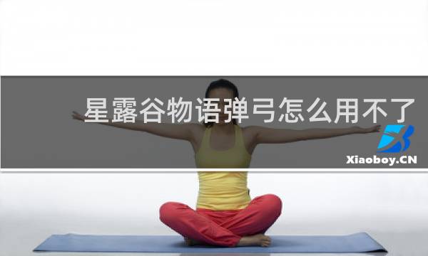 星露谷物语弹弓怎么用不了