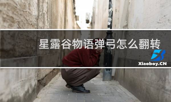 星露谷物语弹弓怎么翻转