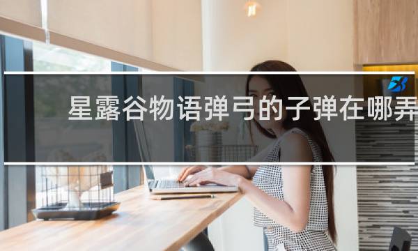 星露谷物语弹弓的子弹在哪弄