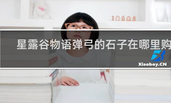 星露谷物语弹弓的石子在哪里购买