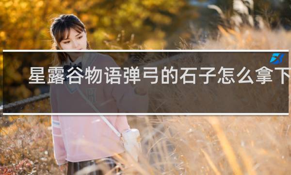 星露谷物语弹弓的石子怎么拿下来