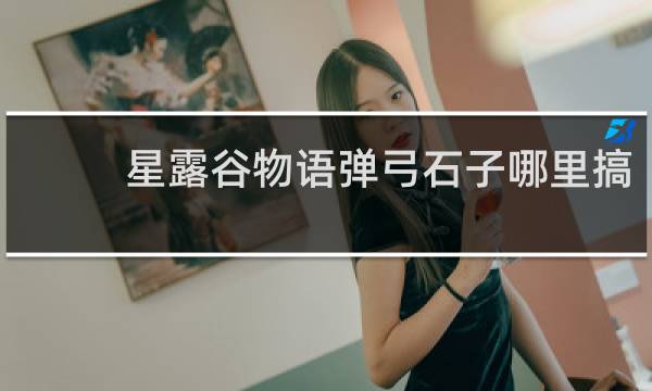 星露谷物语弹弓石子哪里搞