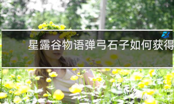 星露谷物语弹弓石子如何获得