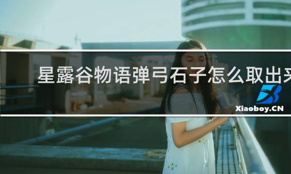 星露谷物语弹弓石子怎么取出来