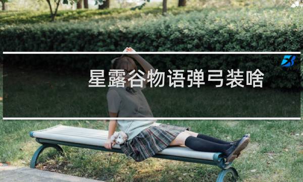 星露谷物语弹弓装啥