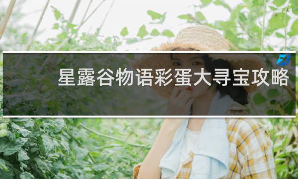 星露谷物语彩蛋大寻宝攻略