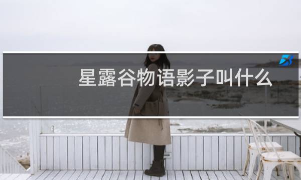 星露谷物语影子叫什么