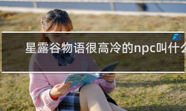 星露谷物语很高冷的npc叫什么