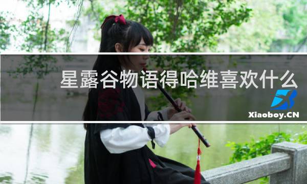 星露谷物语得哈维喜欢什么