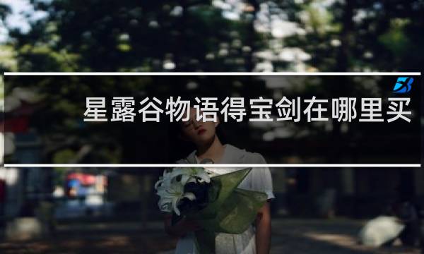 星露谷物语得宝剑在哪里买