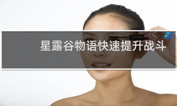 星露谷物语快速提升战斗