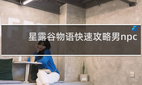 星露谷物语快速攻略男npc
