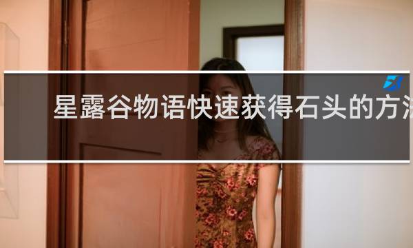 星露谷物语快速获得石头的方法