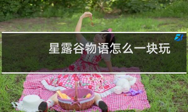 星露谷物语怎么一块玩