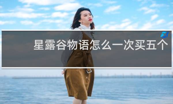 星露谷物语怎么一次买五个