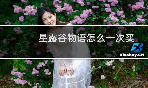 星露谷物语怎么一次买