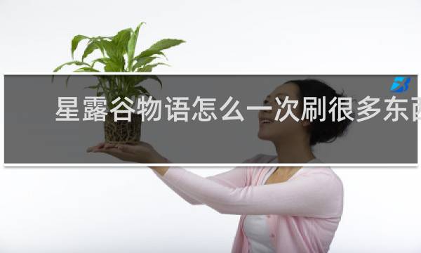 星露谷物语怎么一次刷很多东西