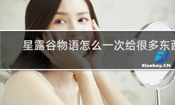 星露谷物语怎么一次给很多东西
