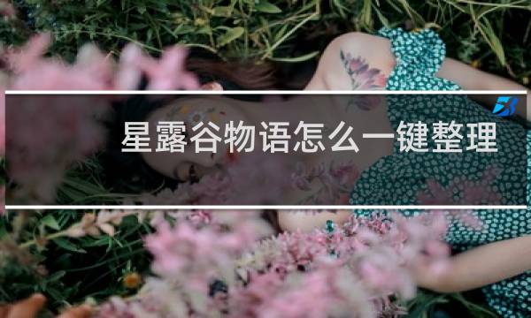 星露谷物语怎么一键整理