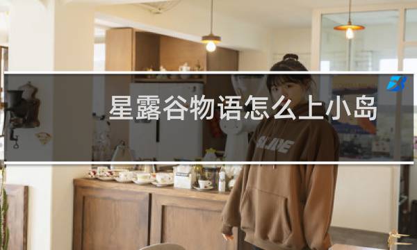 星露谷物语怎么上小岛