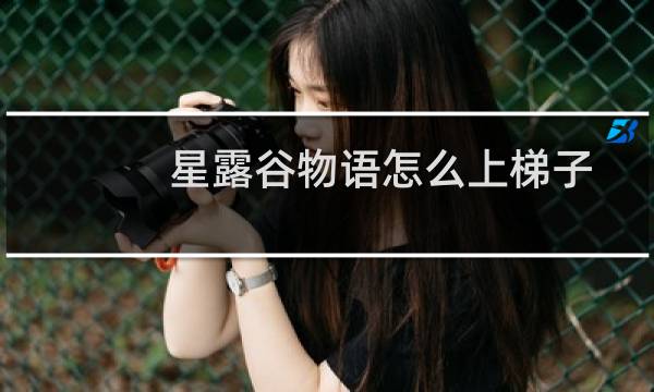 星露谷物语怎么上梯子