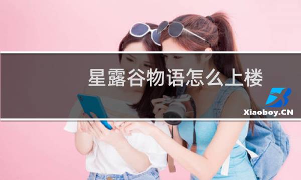 星露谷物语怎么上楼