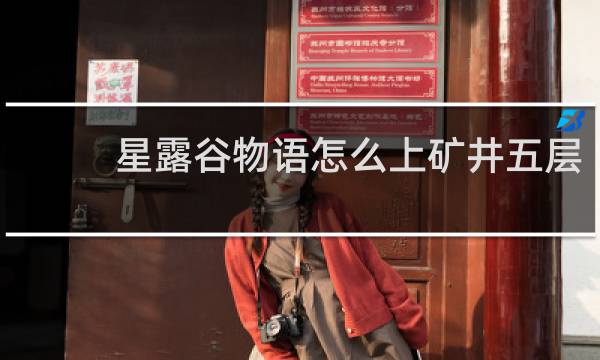 星露谷物语怎么上矿井五层