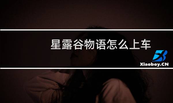 星露谷物语怎么上车