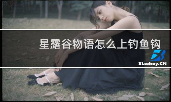 星露谷物语怎么上钓鱼钩