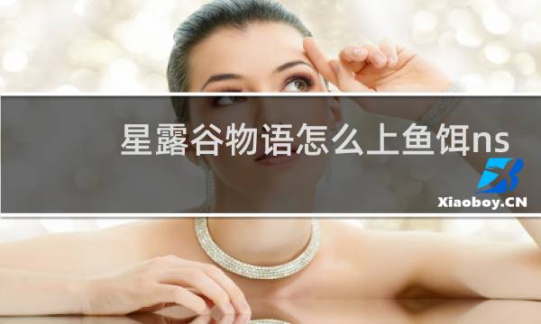 星露谷物语怎么上鱼饵ns