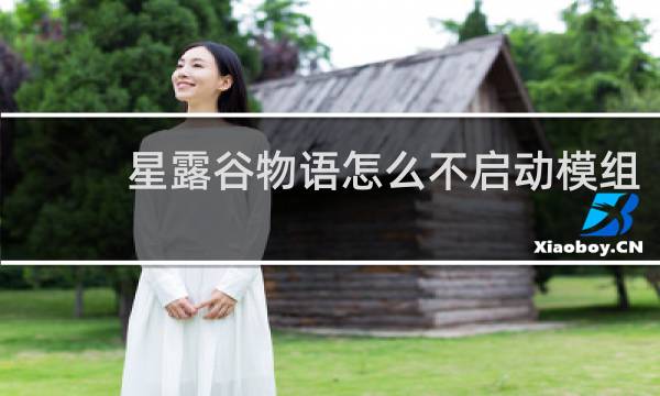 星露谷物语怎么不启动模组