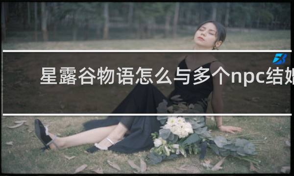 星露谷物语怎么与多个npc结婚