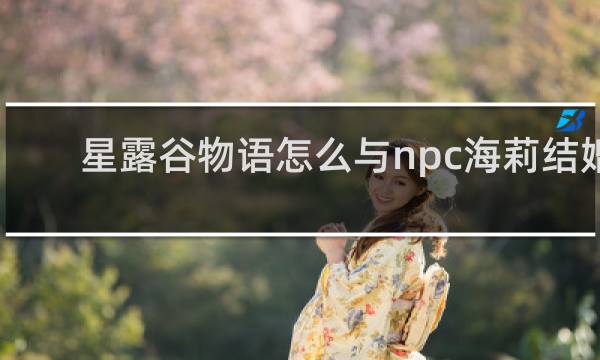 星露谷物语怎么与npc海莉结婚