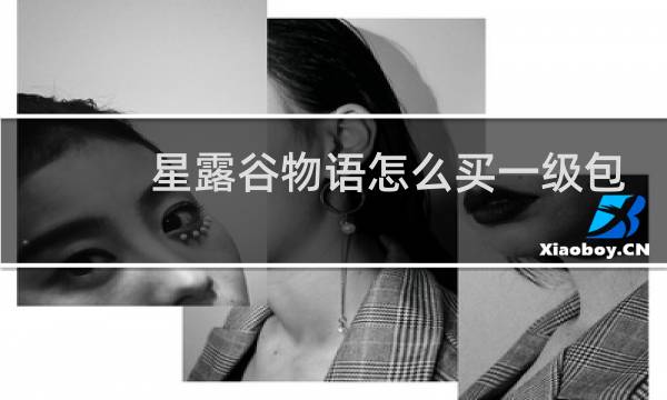 星露谷物语怎么买一级包