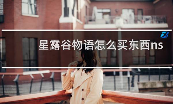星露谷物语怎么买东西ns