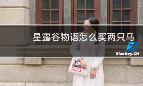 星露谷物语怎么买两只马