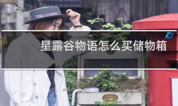 星露谷物语怎么买储物箱