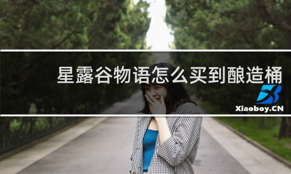 星露谷物语怎么买到酿造桶