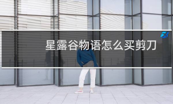 星露谷物语怎么买剪刀