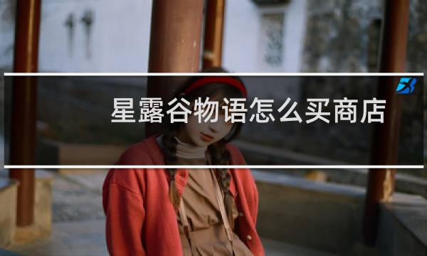 星露谷物语怎么买商店