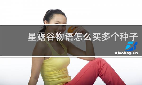星露谷物语怎么买多个种子