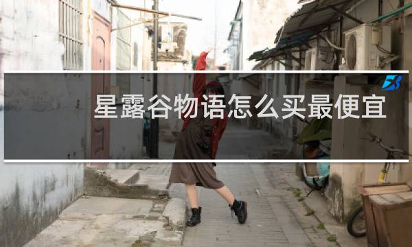 星露谷物语怎么买最便宜