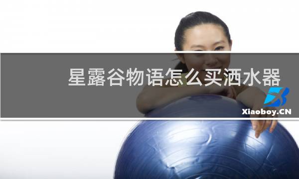 星露谷物语怎么买洒水器