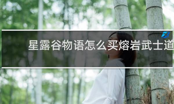 星露谷物语怎么买熔岩武士道