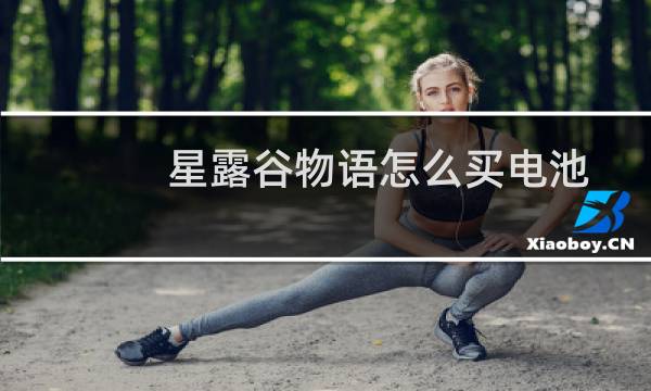 星露谷物语怎么买电池
