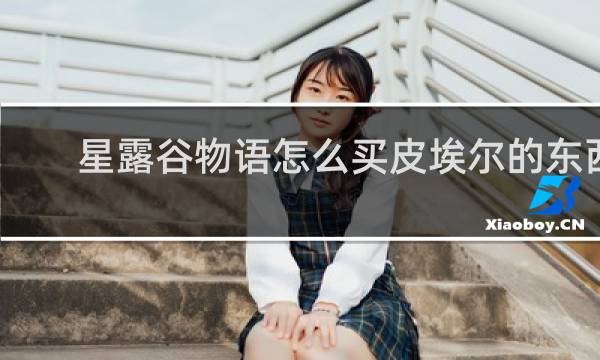 星露谷物语怎么买皮埃尔的东西