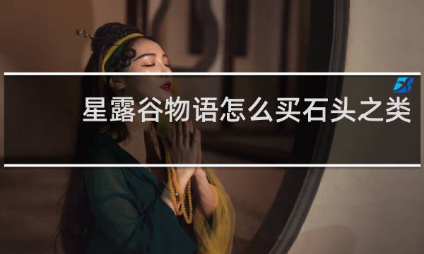 星露谷物语怎么买石头之类