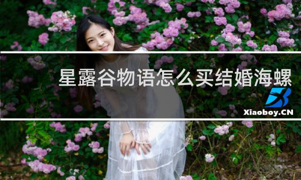 星露谷物语怎么买结婚海螺