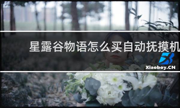星露谷物语怎么买自动抚摸机