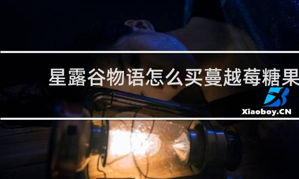 星露谷物语怎么买蔓越莓糖果
